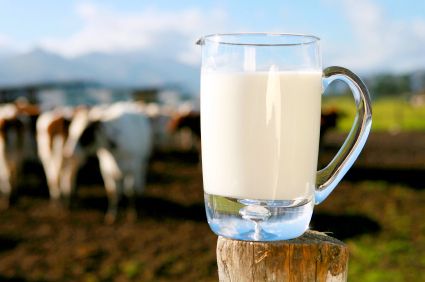 Sữa bò hữu cơ